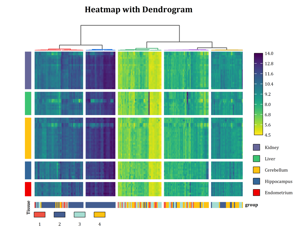 Heatmap with Dendrogram