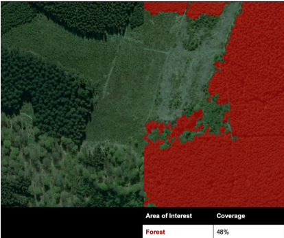 image of deforestation