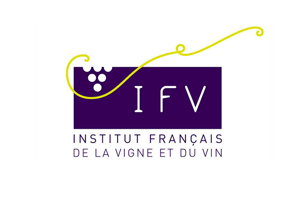 Exemples de formations en transformation digitale pour l’IFV